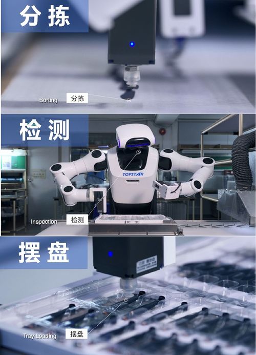 硬核實力鑄就卓越，小拓榮膺高工機器人金球獎年度產品獎